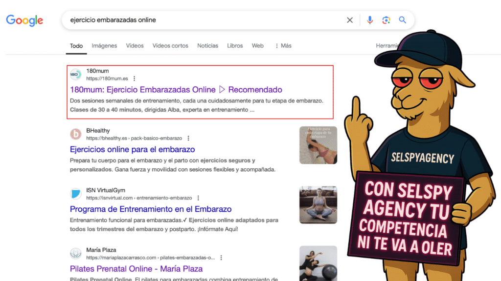 Agencia seo freelance