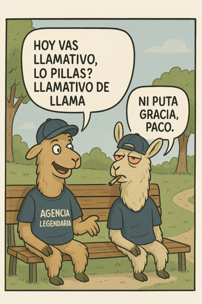Selspy Agency - Agencia de marketing Valencia y Agencia SEO